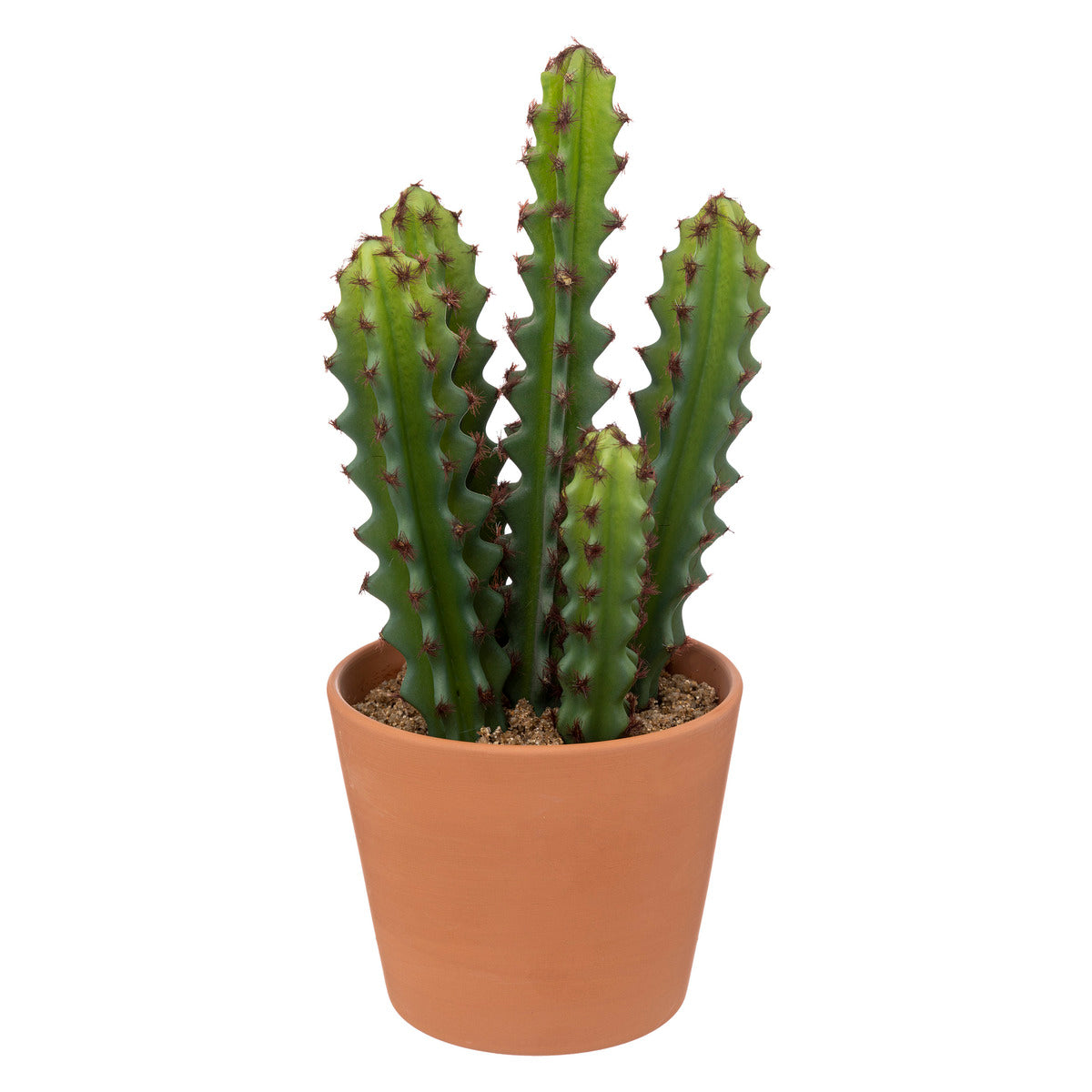 Atmosphera Plante Artificielle Alicante - Cactus avec pot - Ø12xH30cm - Vert