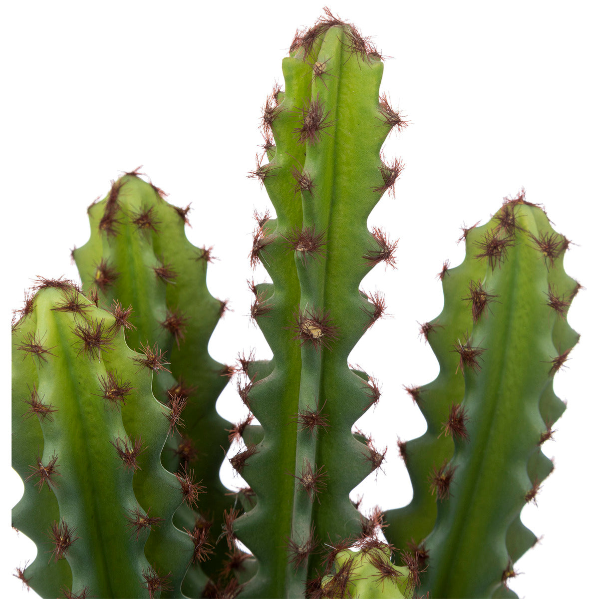 Atmosphera Plante Artificielle Alicante - Cactus avec pot - Ø12xH30cm - Vert