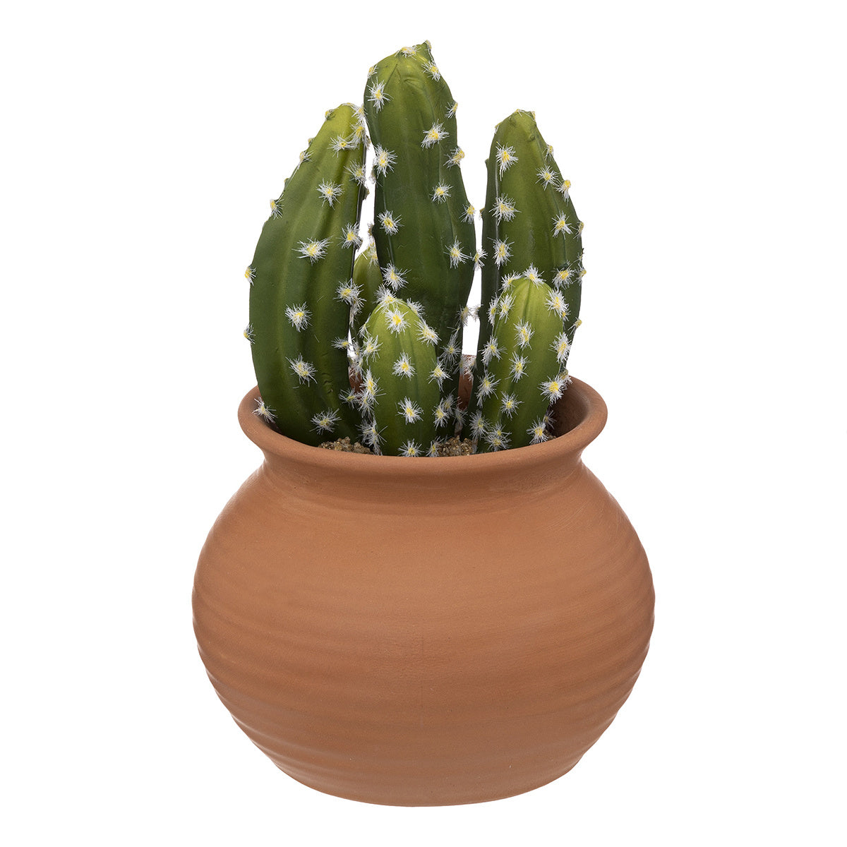 Atmosphera Kunstplant Alicante - Cactus met pot - Ø17x8cm - Groen