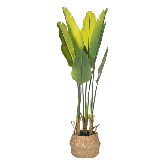 Atmosphera Plante Artificielle Strelitzia - Ø38xH125cm - Vert/Jaune