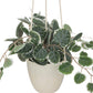 Atmosphera Kunstplant - Hangplant met pot - 25x15x80cm - Groen