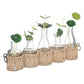 Atmosphera Soliflores Plantes artificielles en verres - 41x8x30cm - Vert/Beige