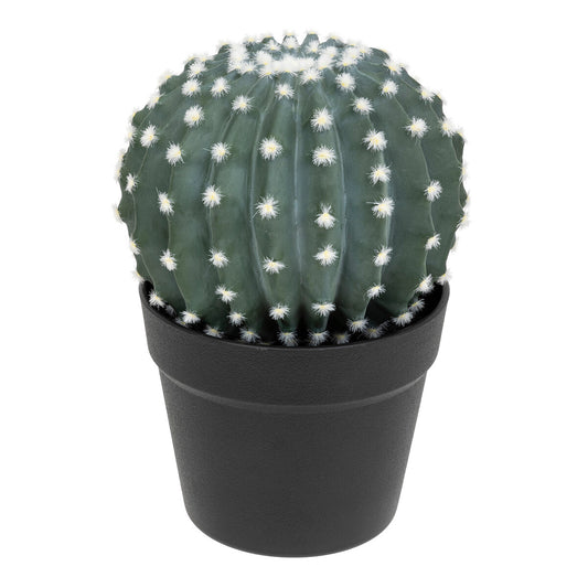 Atmosphera Plante artificielle - Cactus avec pot - Ø18cm - Vert