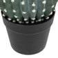 Atmosphera Kunstplant - Cactus met pot - Ø18cm - Groen