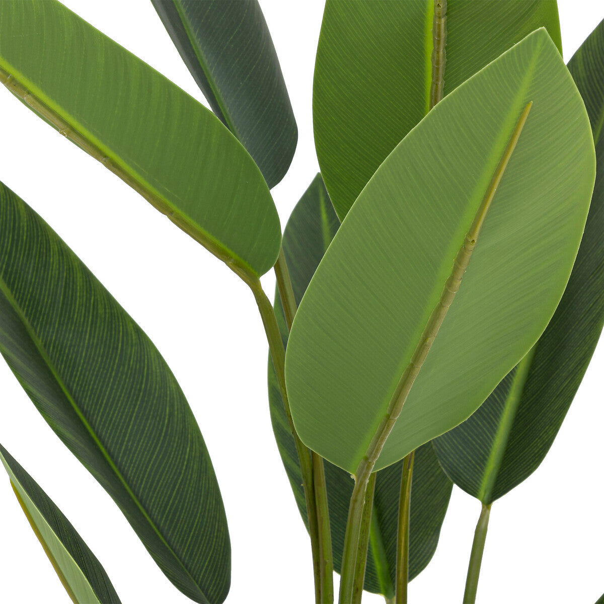 Atmosphera Plante Artificielle Strelitzia - Ø50xH97cm - Vert