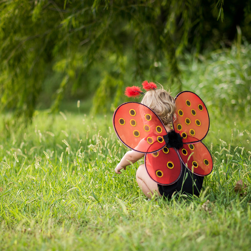 Great Pretenders Fancy Dress Ladybug Headband with Wings - Red