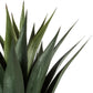 Atmosphera Artificial Plant - Agave - H78cm