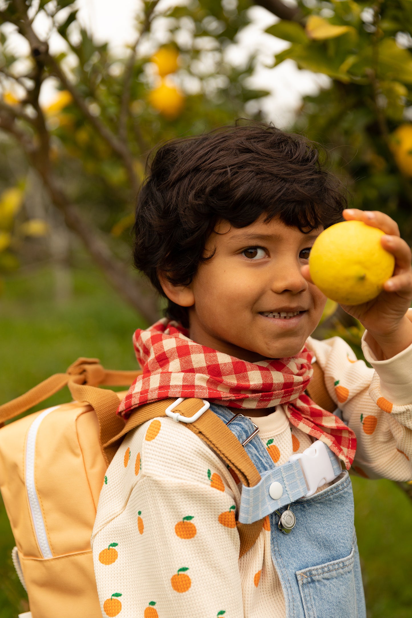 Sticky Lemon Backpack/Boekentas Small Farmhouse | Envelope | Pear Jam