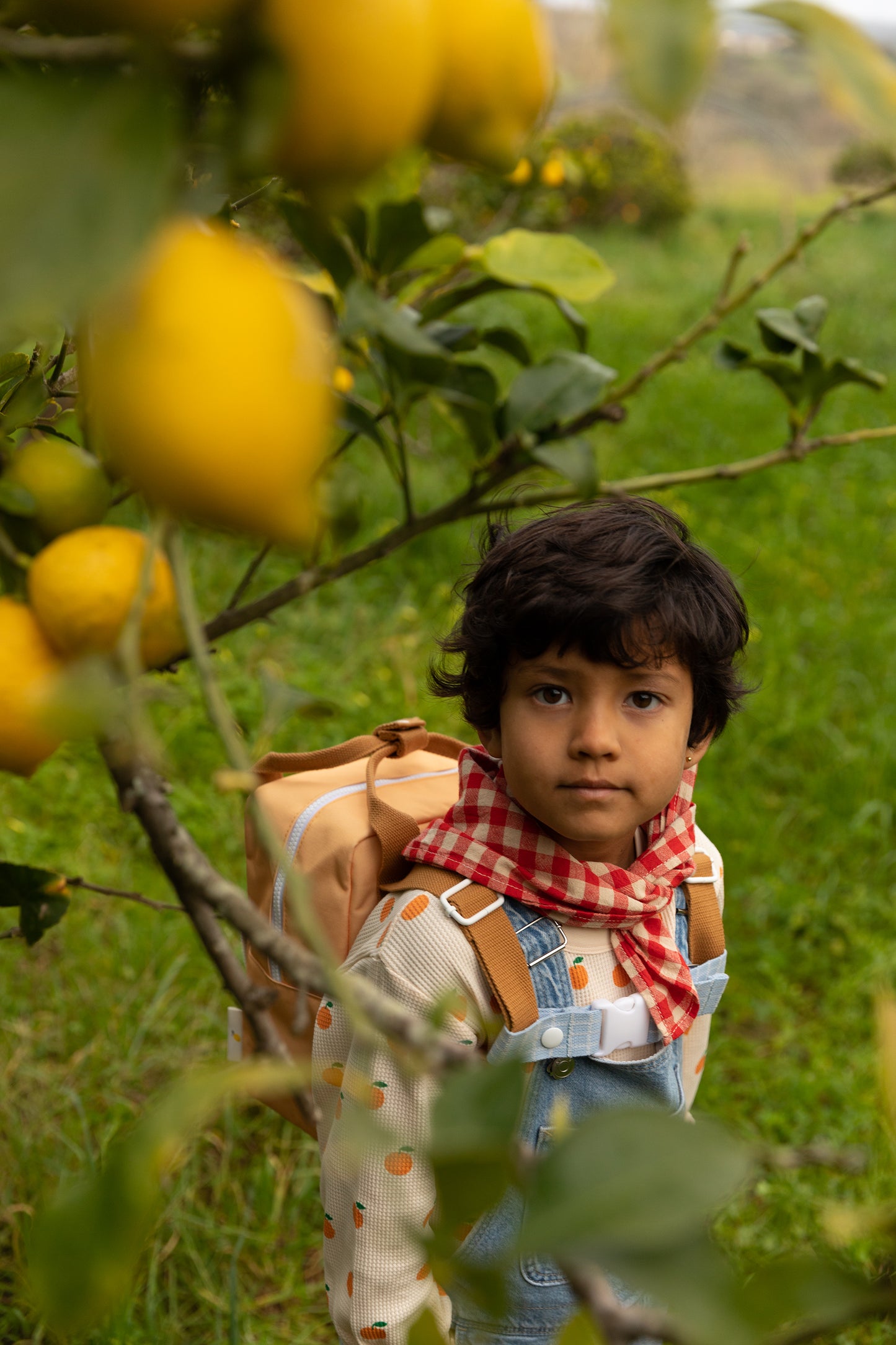 Sticky Lemon Backpack/Boekentas Small Farmhouse | Envelope | Pear Jam