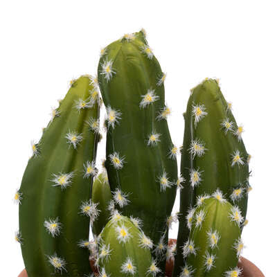 Atmosphera Kunstplant Alicante - Cactus met pot - Ø17x8cm - Groen