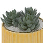 Plante Artificielle Atmosphera Louis - Or - H12 cm - Dia 13,5 cm - Plante succulente 