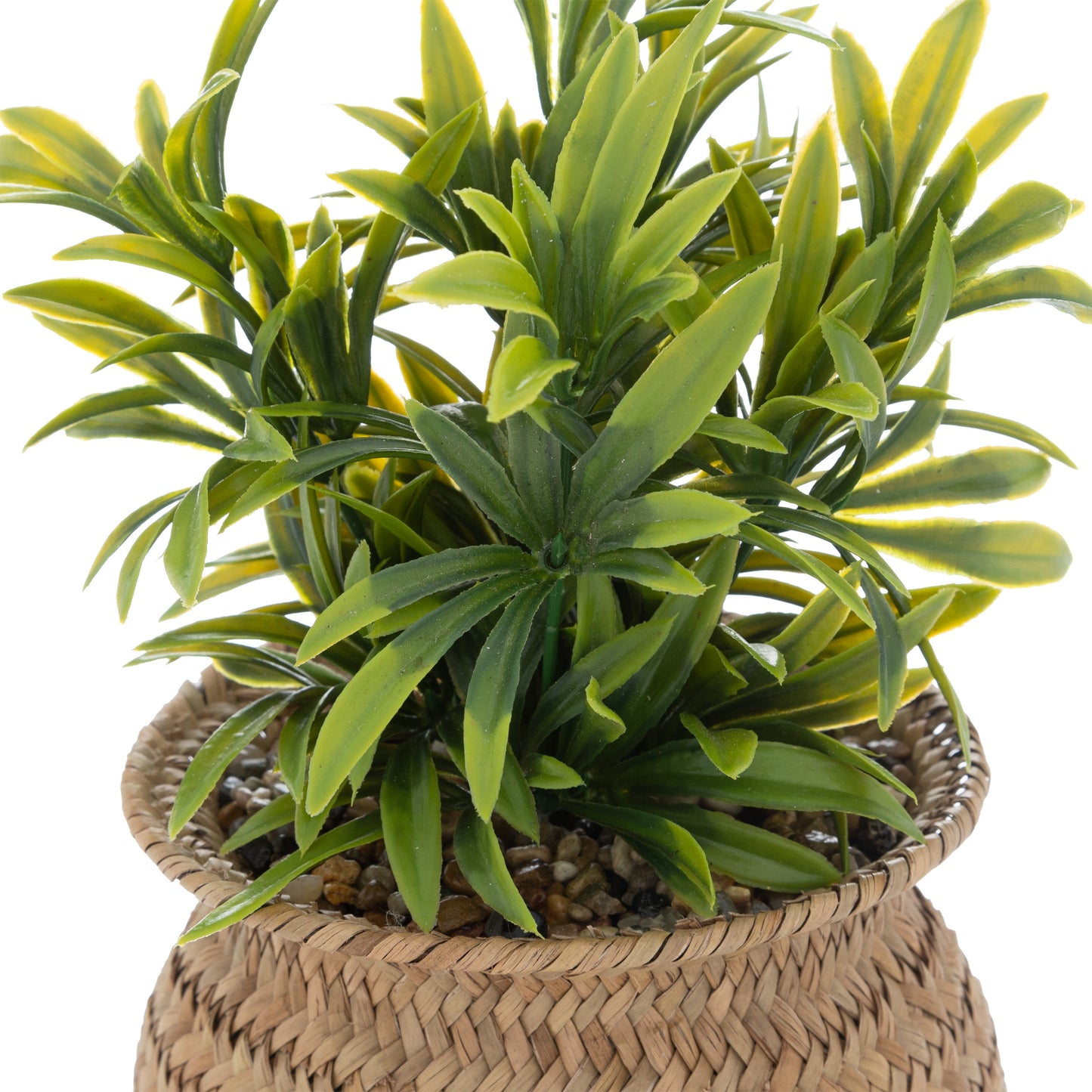 Atmosphera Jil Artificial Plant - H20cm 