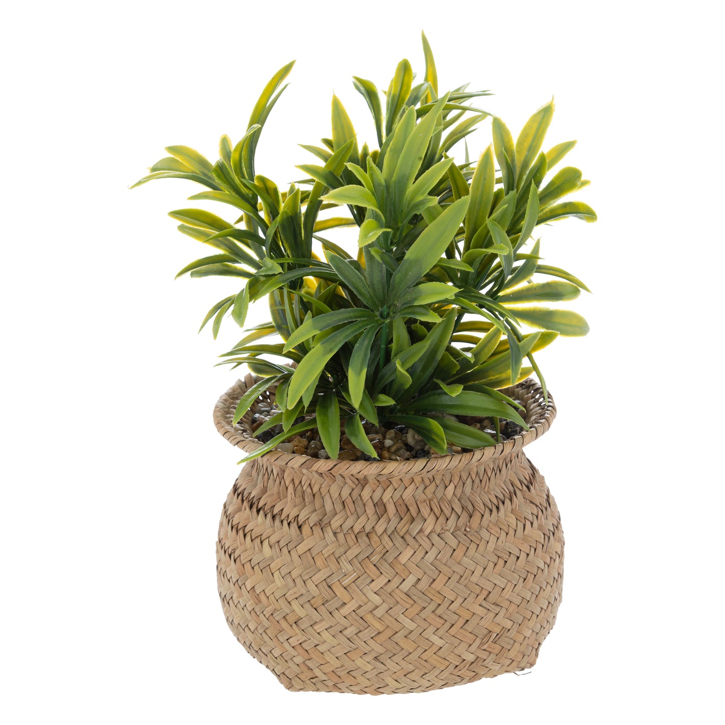 Atmosphera Jil Artificial Plant - H20cm 