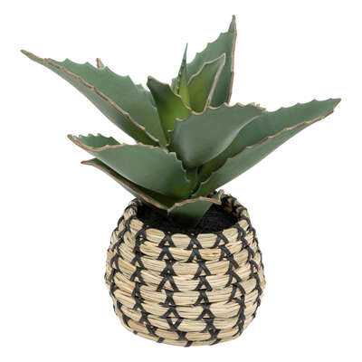 Atmosphera Plante Artificielle Samouraï 25x22x26cm - Vert/Beige