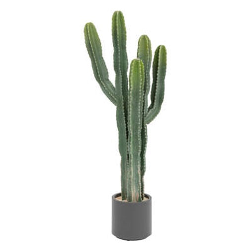 Atmosphera Kunstplant Exotic Panama cactus met pot - Ø44xH117cm - Groen