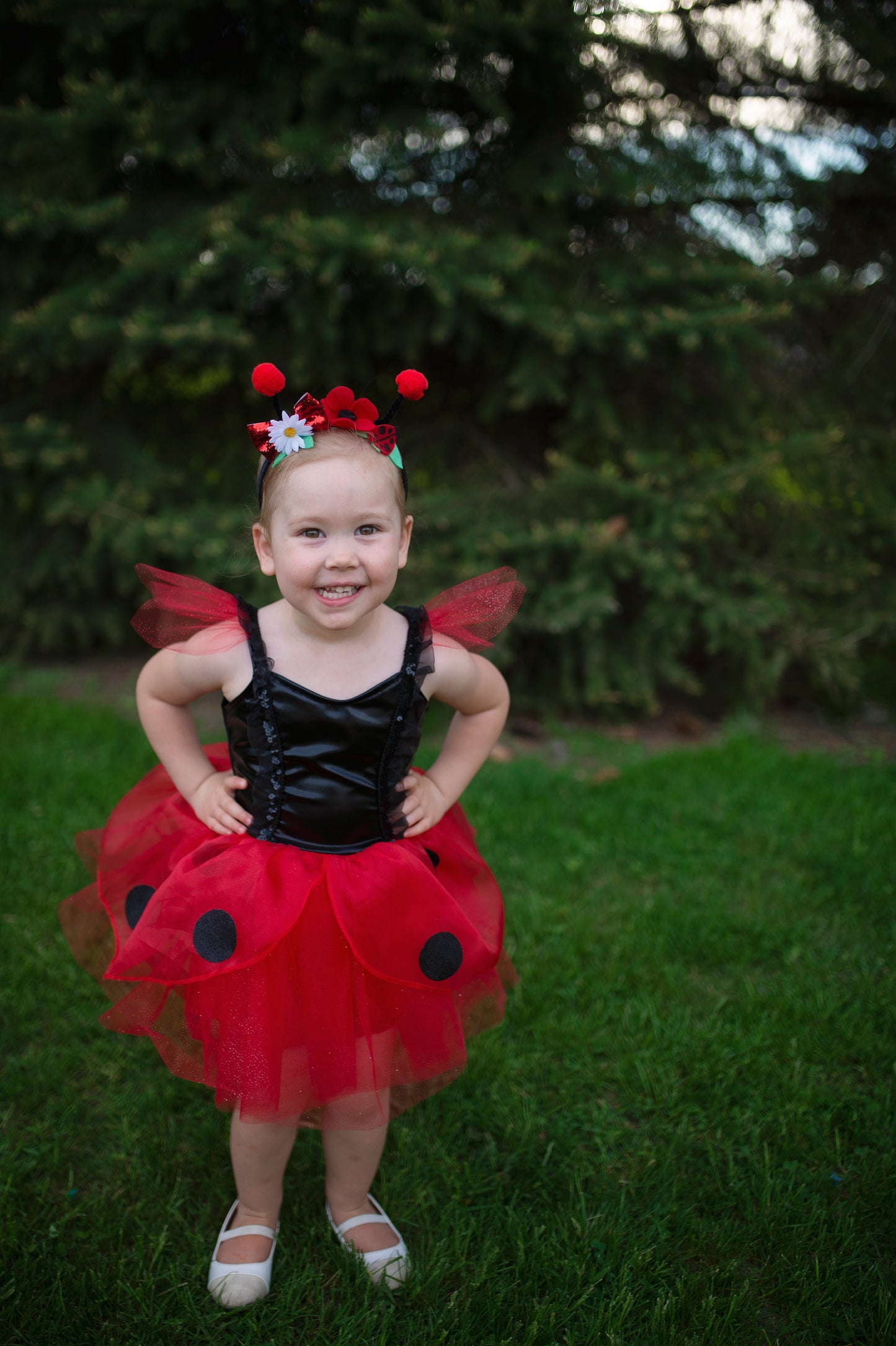 Great Pretenders Fancy Dress Ladybug dress with headband - Red