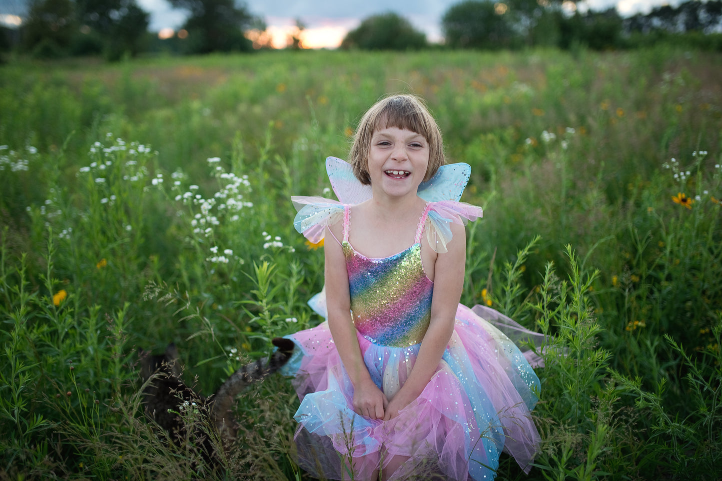 Great Pretenders Fancy Dress Fairy Dress with Wings - Multi