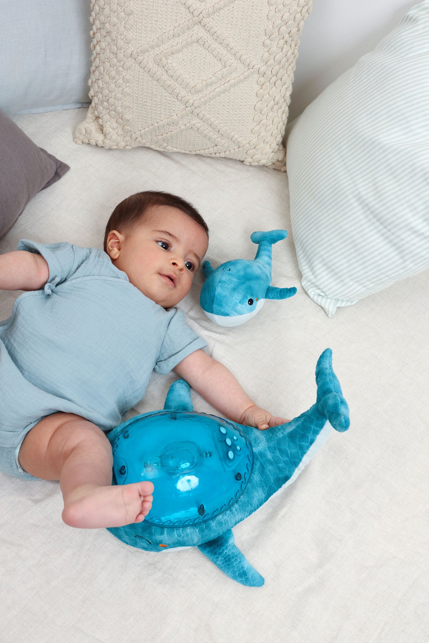 Cloud-B Tranquil Whale Rustgevende Knuffel met geluiden, projectie - Blauw