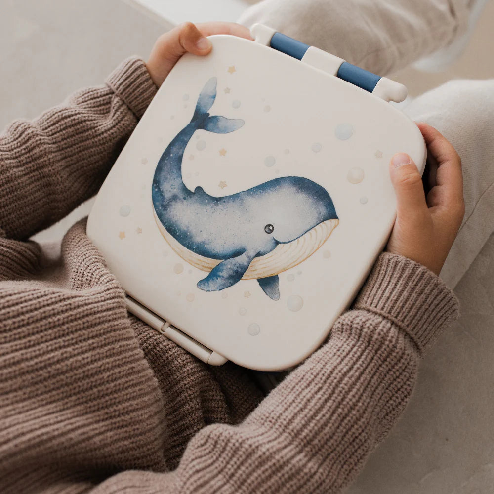 Petit Monkey Bentobox Whale Back to School - Blauw/Wit