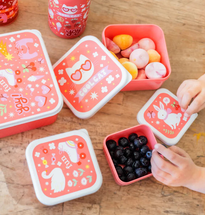 A Little Lovely Company Back to school set - Drinkfles/Snackdozen/Bentobox - Fun