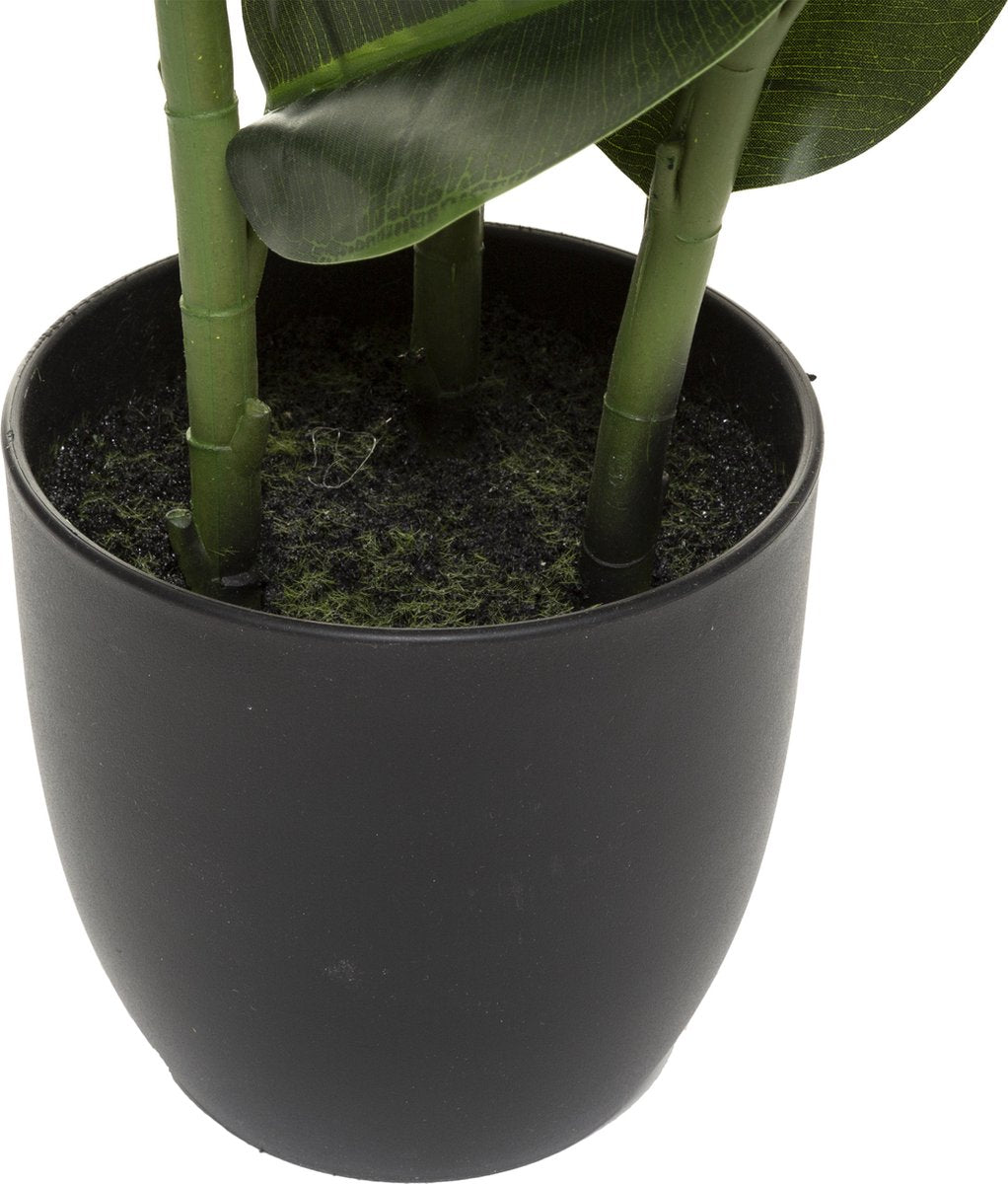 Atmosphera Artificial Plant - Ficus Robusta - H120cm