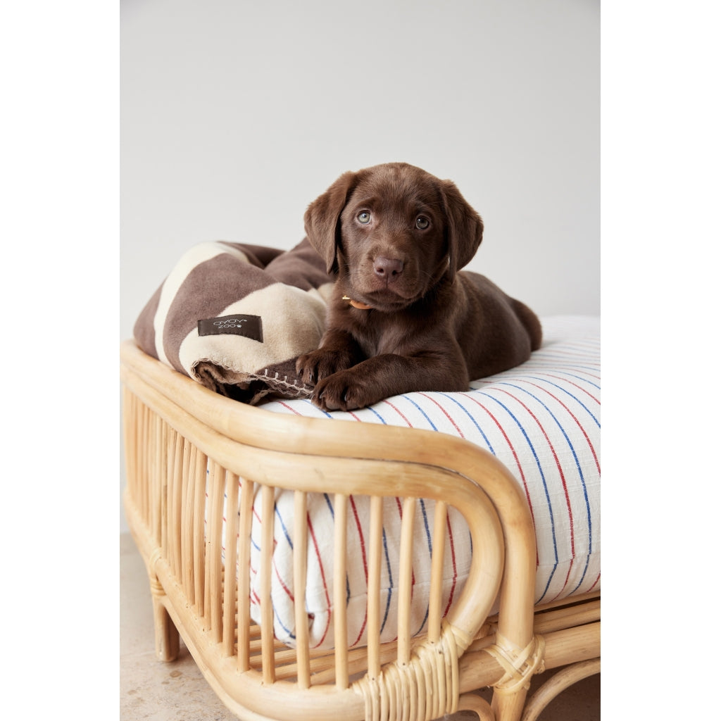 OYOY Otto Dog Bed Small - Rattan - H29 x L52 x W40 cm