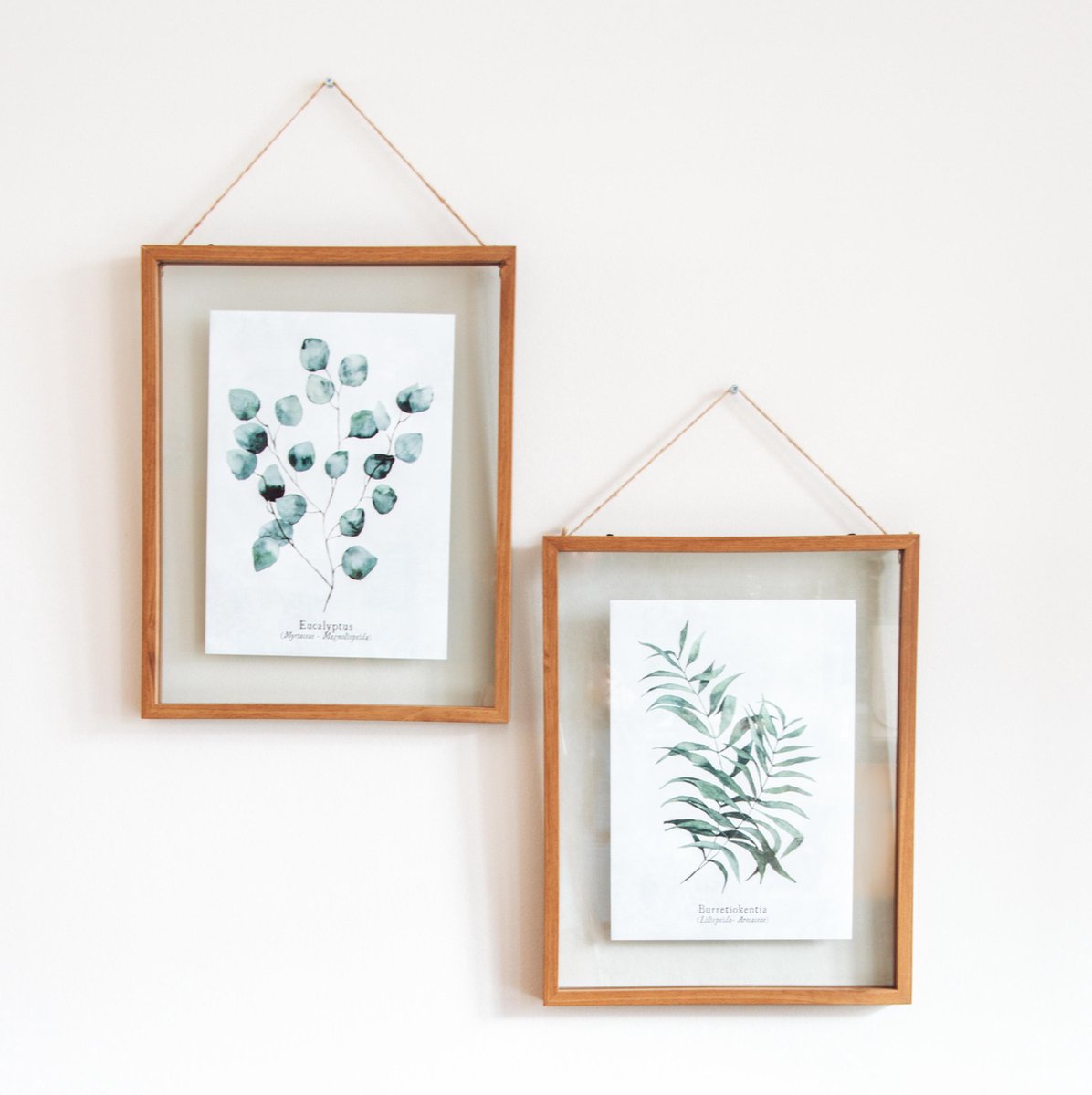 Botanical Poster Set of 3 With Frames - Vegetables Plants Print - With Passe Partout - 38x48