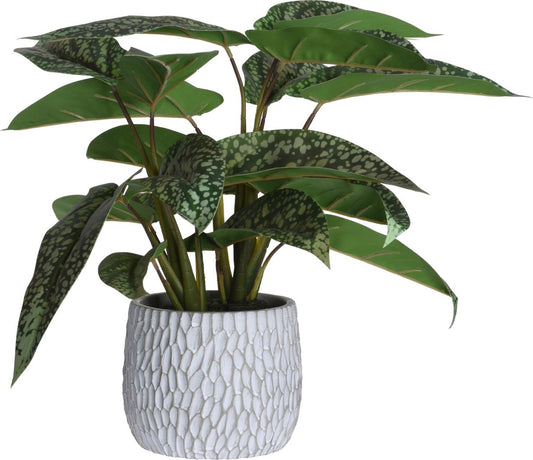 Artificial plant - Artificial - Syngonium - Height 39cm