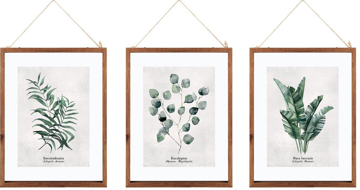 Botanische Poster Set Van 3 Met Lijsten - Groenten Planten Print - Met Passe Partout - 38x48