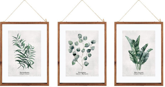 Botanische Poster Set Van 3 Met Lijsten - Groenten Planten Print - Met Passe Partout - 38x48