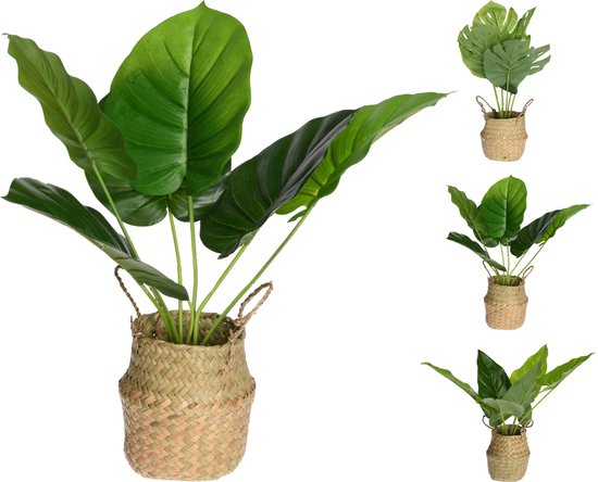 Plant - Plant in mand - 46 cm - 3 Varianten - Kunstplant
