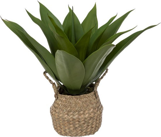 Artificial plant - Agave - Natural Pot - Height 48cm