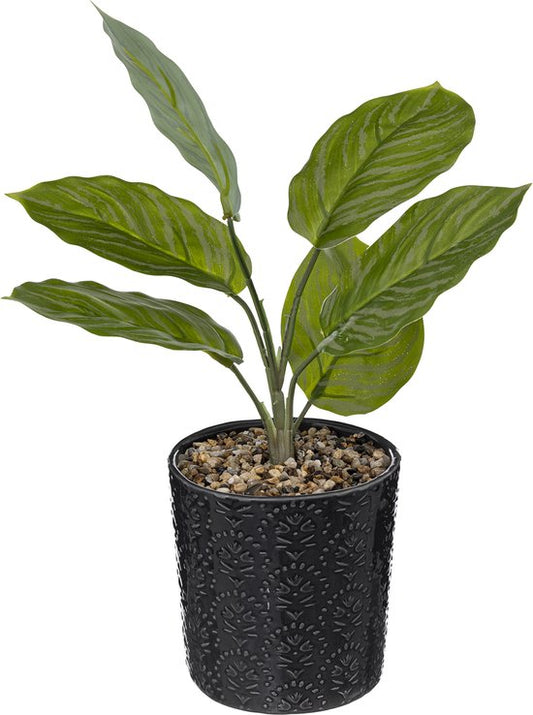 Atmosphera Artificial Plant - Plant - H35cm - 2 Variants - Night